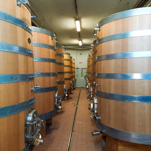 Veneta Botti | referenze TOLAINI