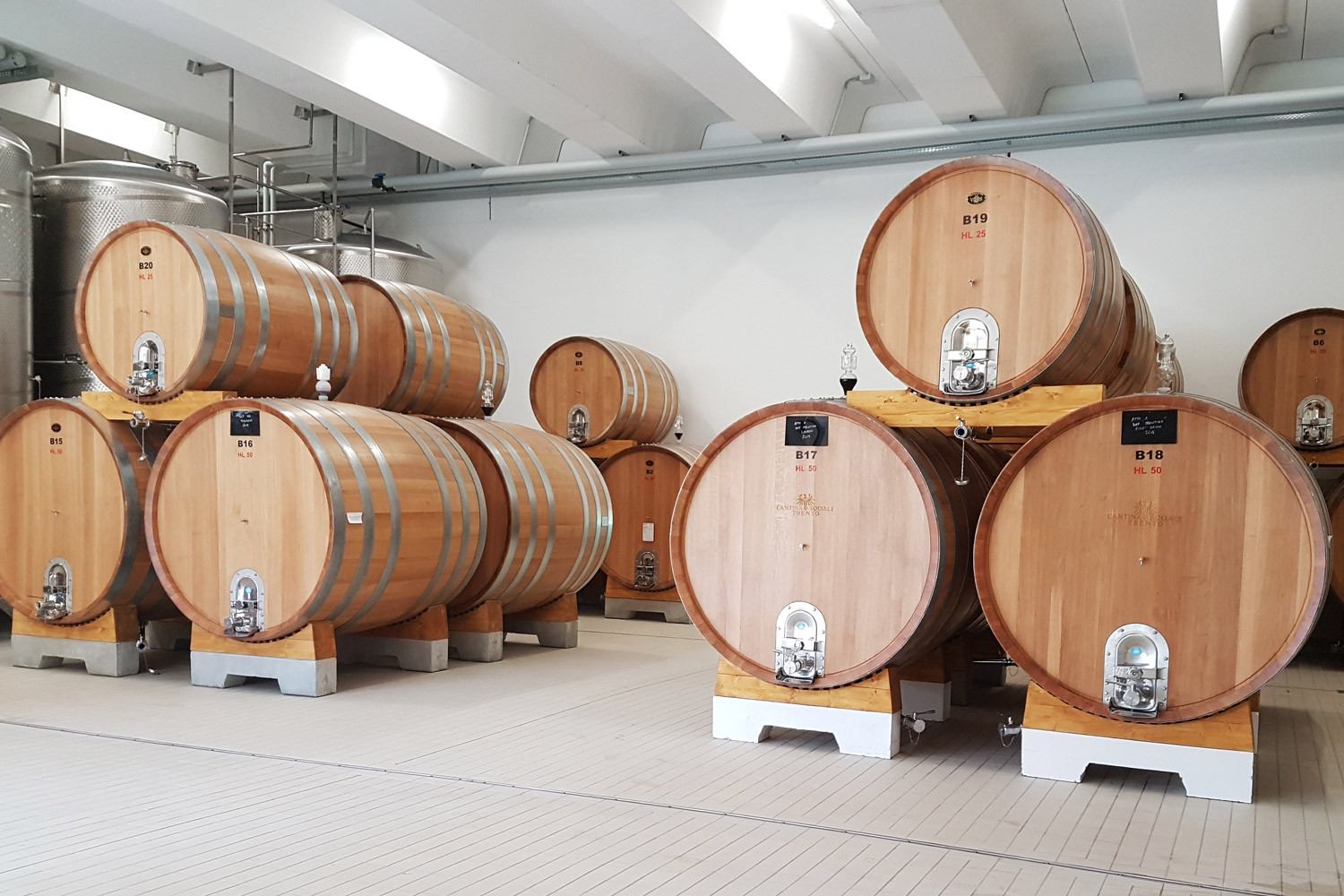 Veneta Botti | referenze CANT.SOC.-DI-TRENTO