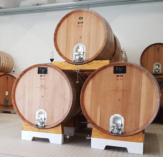 Veneta Botti | referenze - Cant.-sociale-Trento