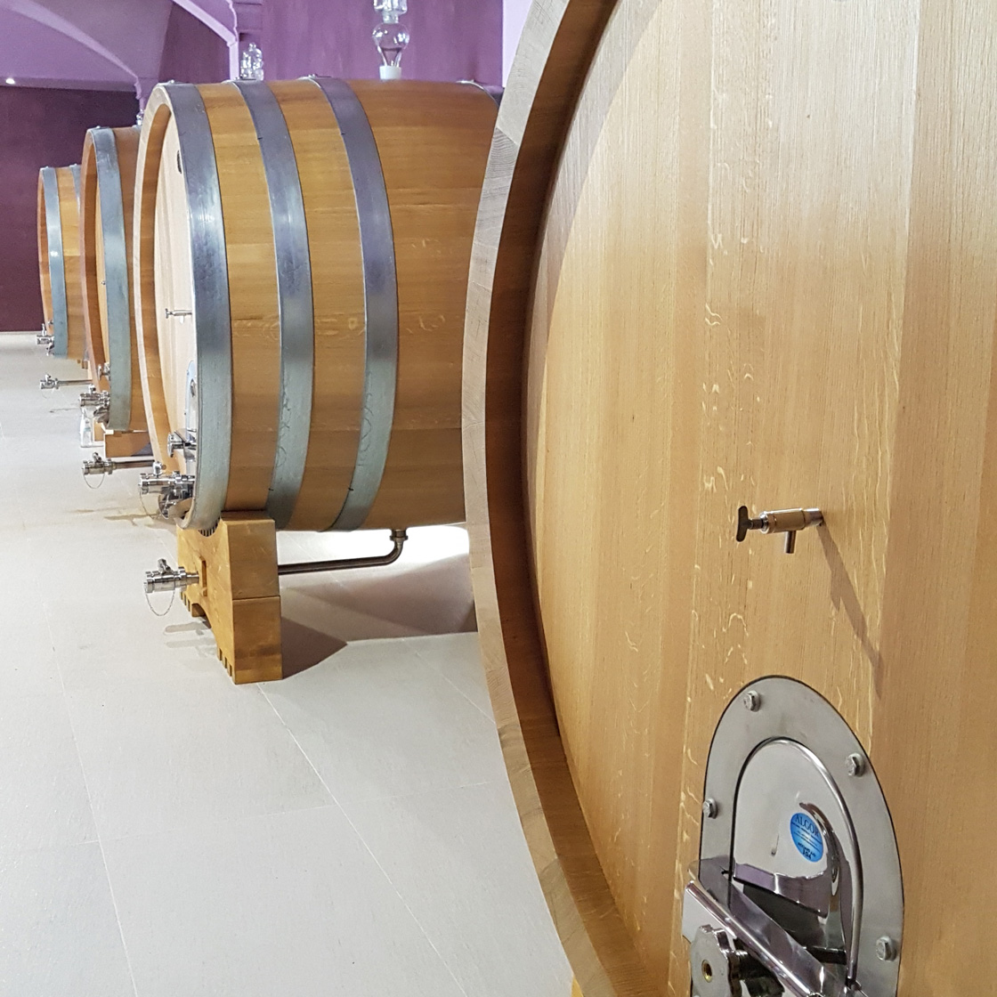 Veneta Botti | referenze - Officina del sole