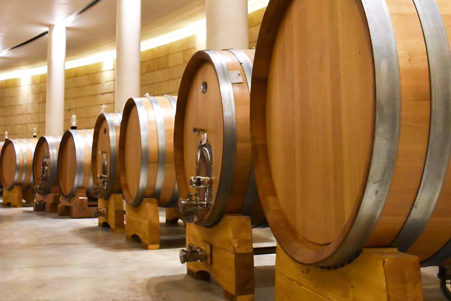 Veneta Botti | referenze POGGIO SAN POLO