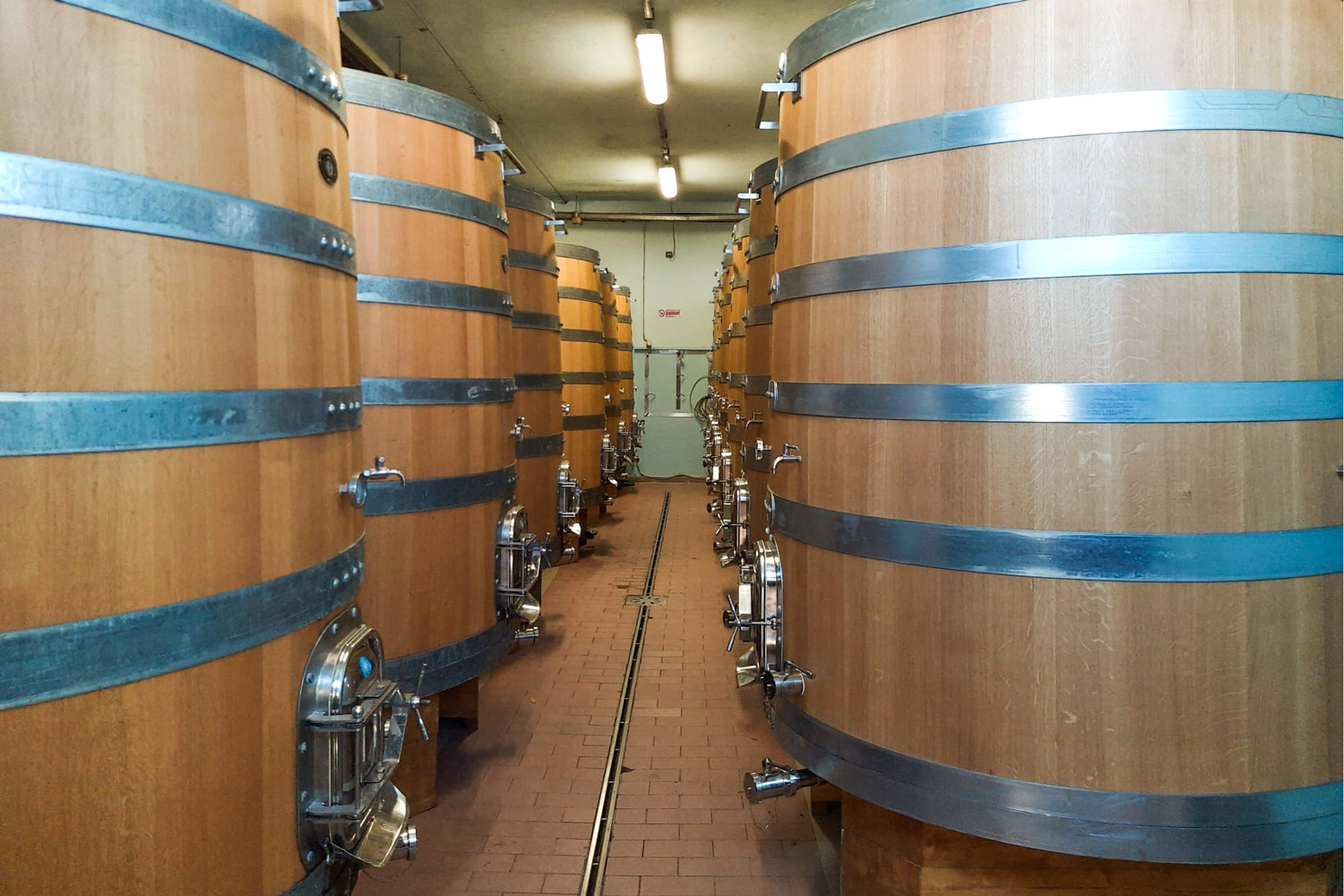 Veneta Botti | referenze TOLAINI 02