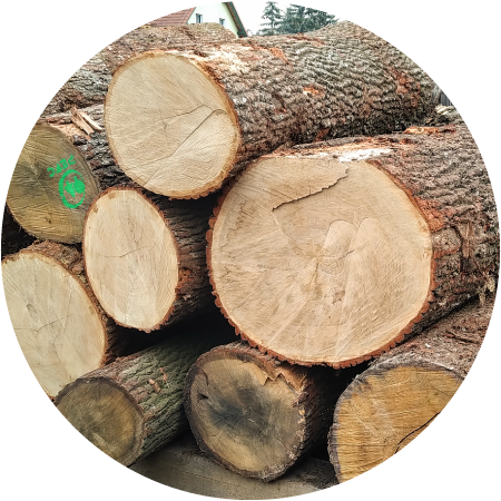 Veneta Botti | chi siamo 04