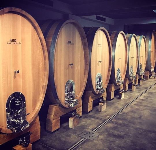 Veneta Botti | referenze - Casina Bric 02