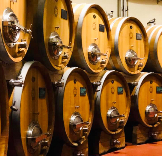 Veneta Botti | referenze - Collina delle fate 02